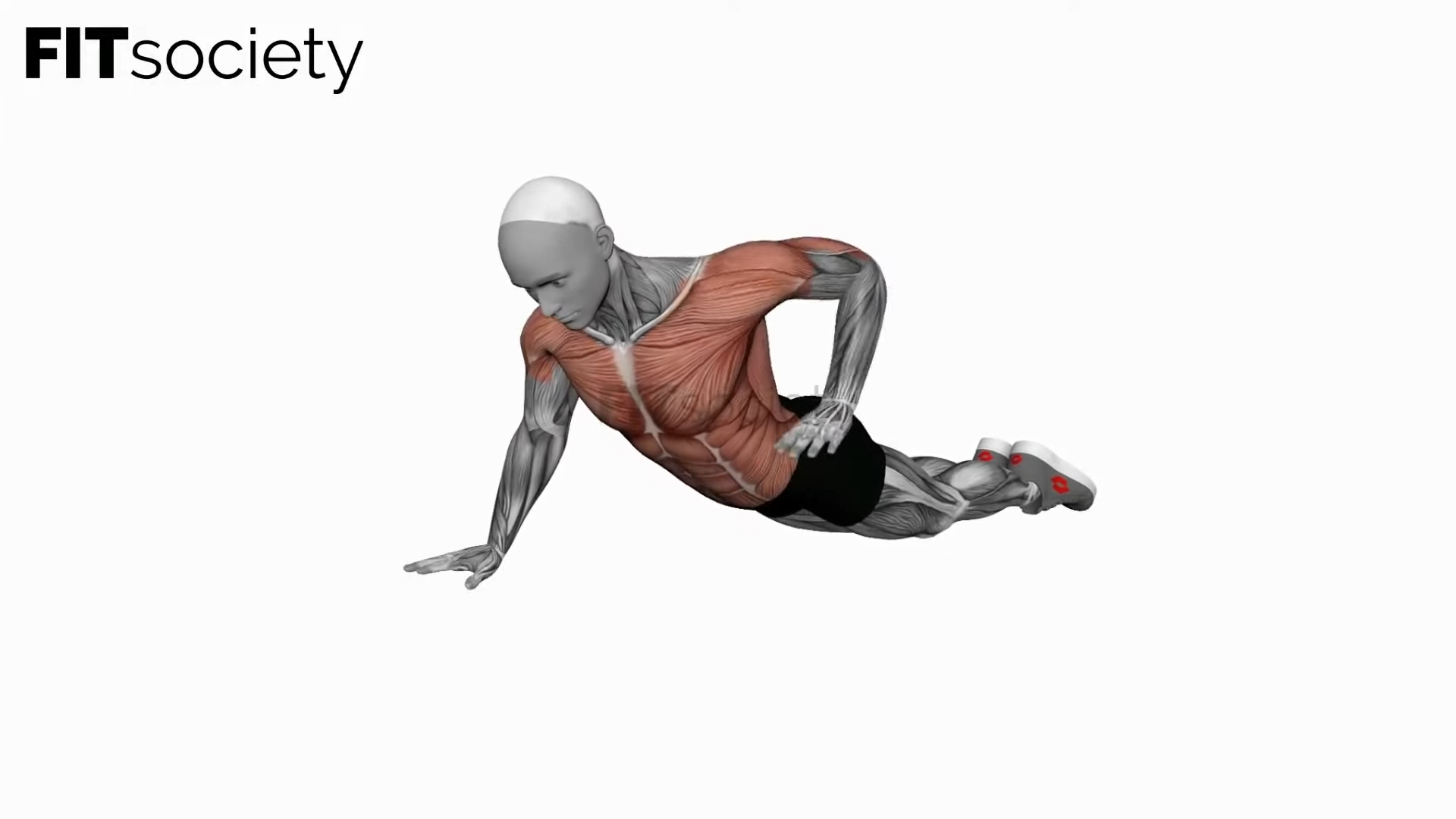 Bodyweight Kneeling Push-Up Row