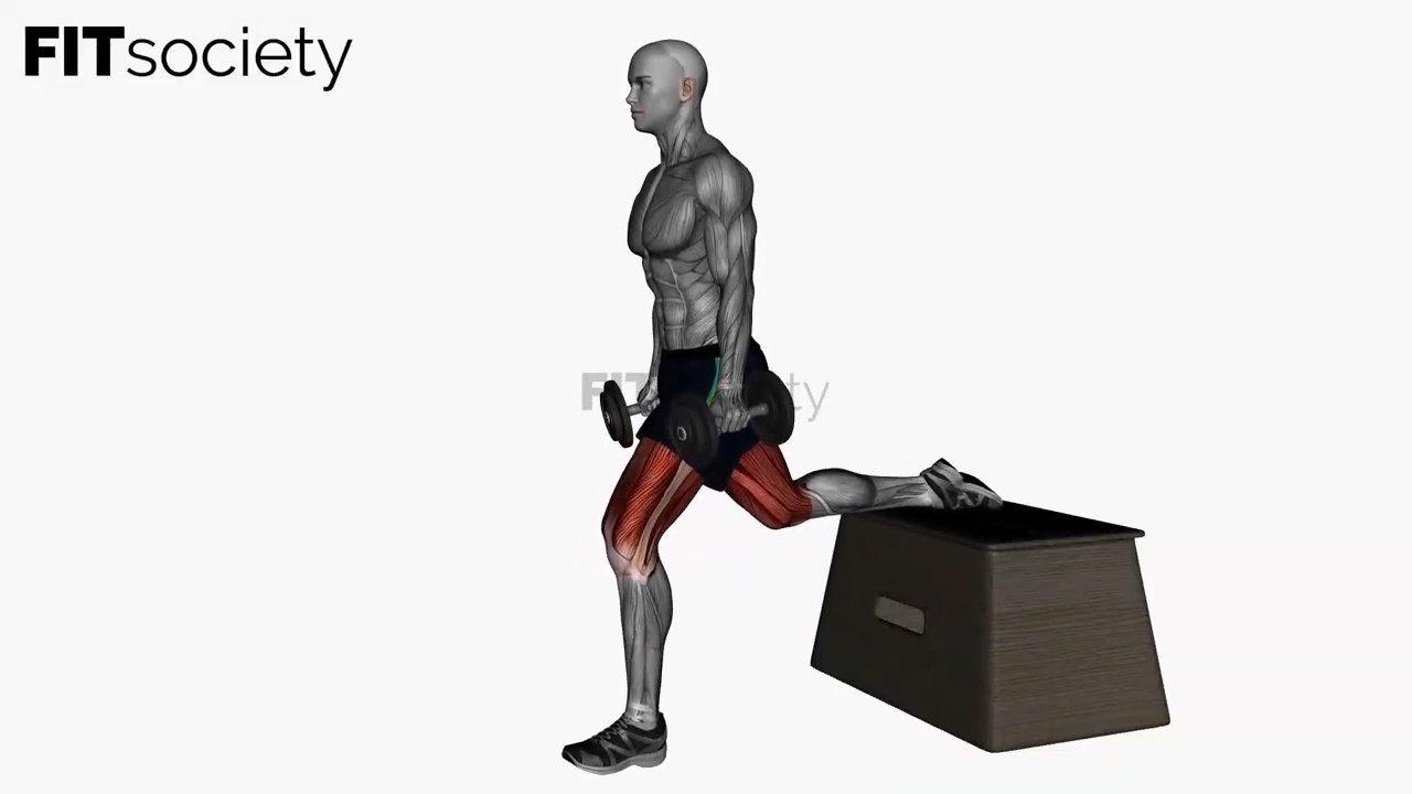 Dumbbell Bulgarian Box Split Squat