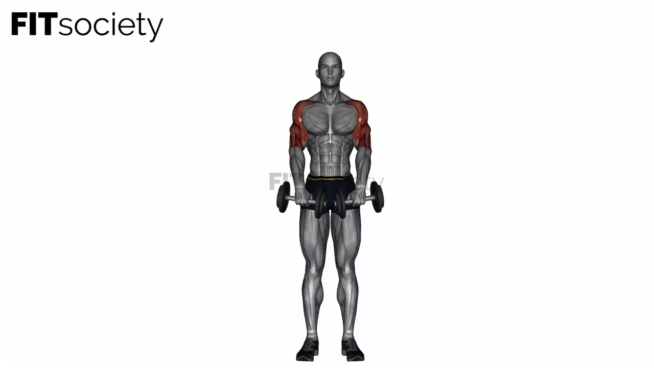 Standing Front Raise Dumbbell