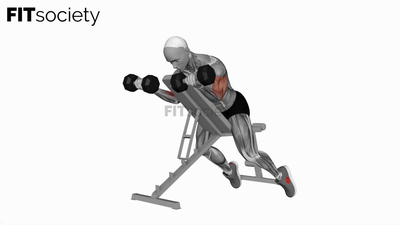 Dumbbell Prone Incline Curl