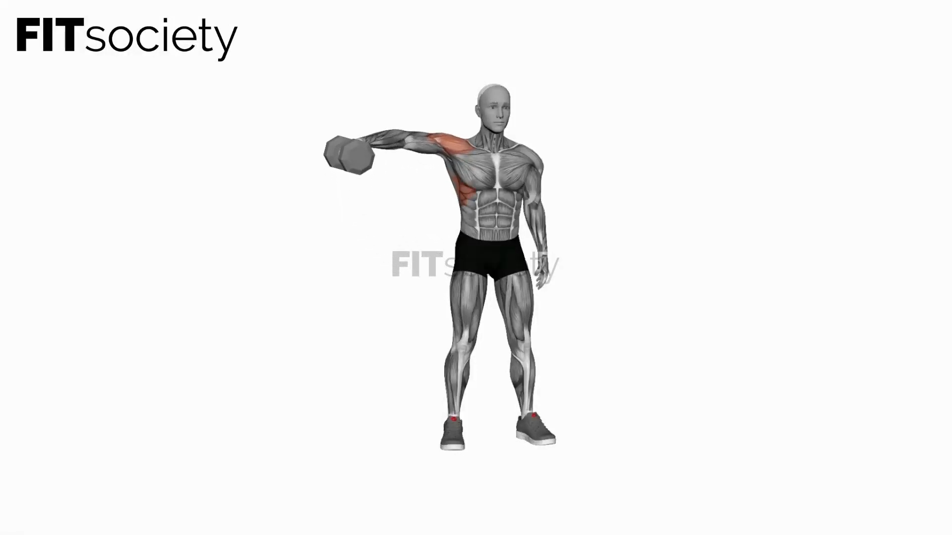 Dumbbell One-Arm Lateral Raise