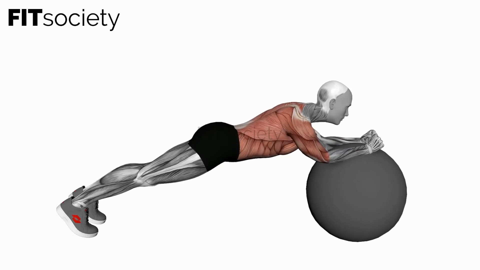 Exercise Ball Body Saw