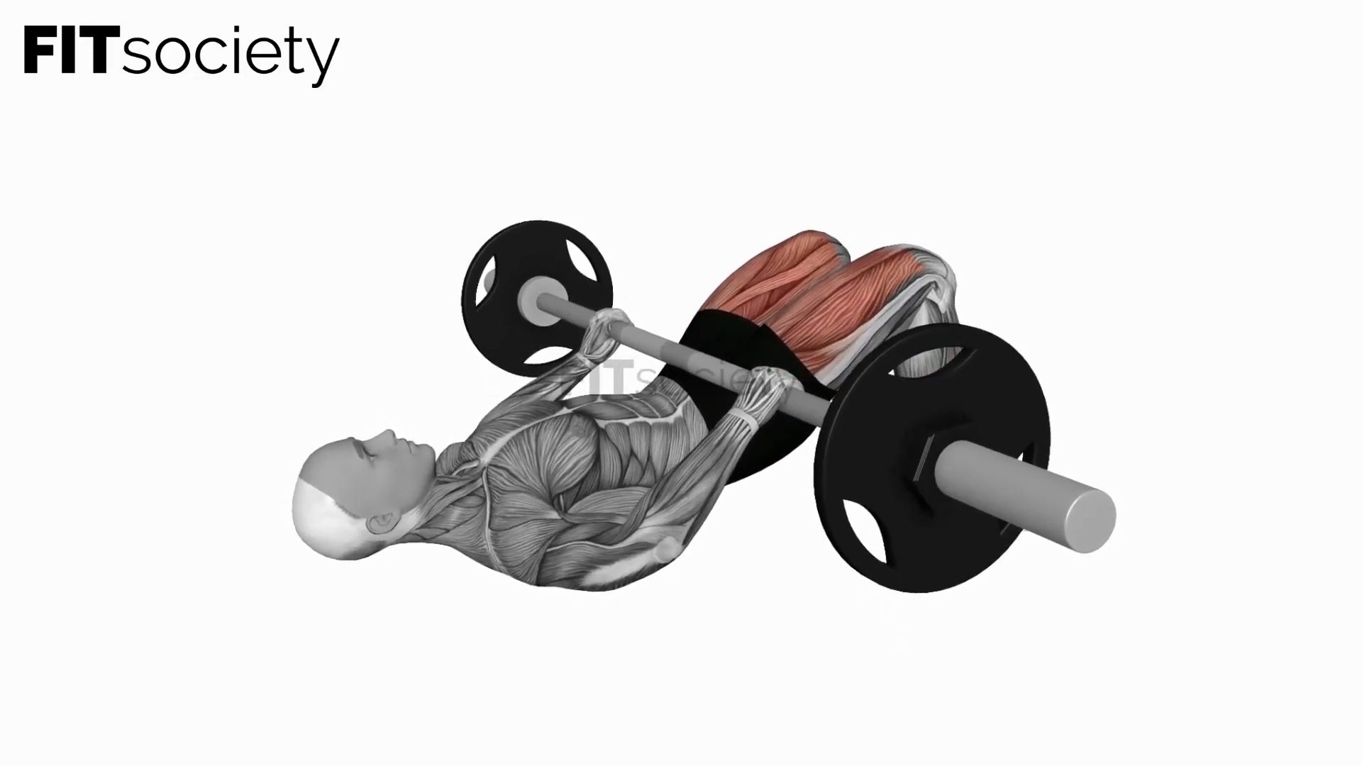 Barbell Glute Bridge