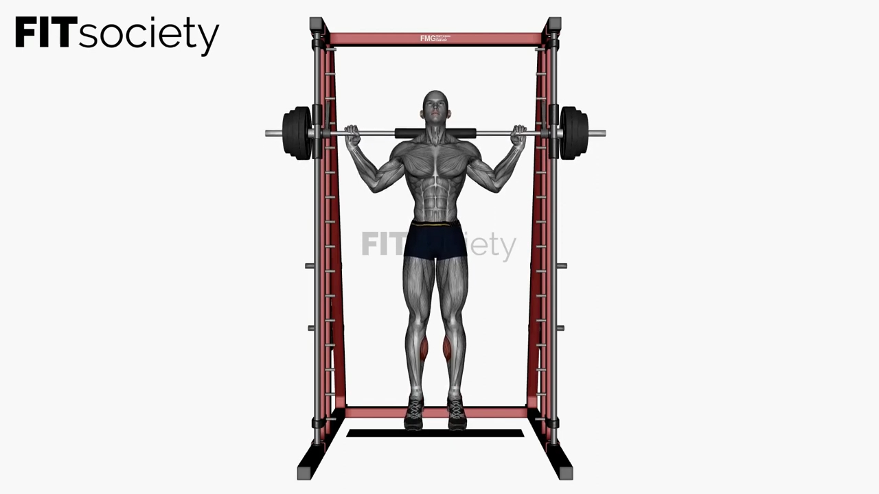 Smith Machine Calf Raise