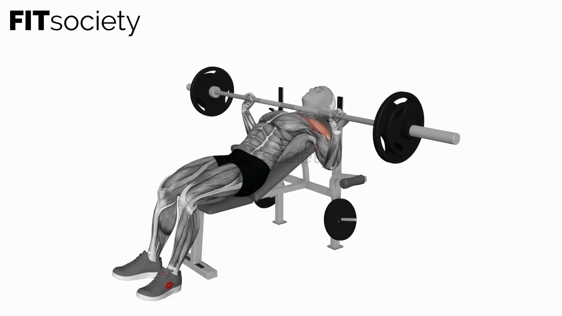 Barbell Incline Bench Press