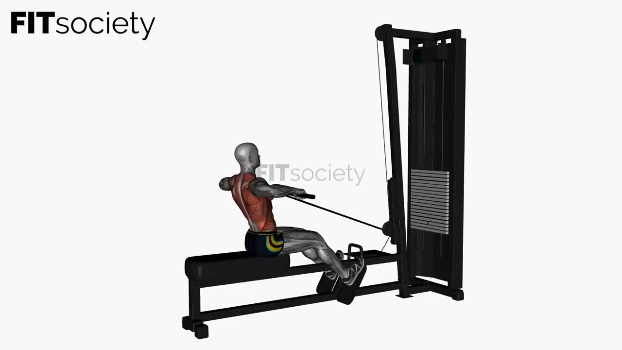 Seated Normal Grip Row Machine