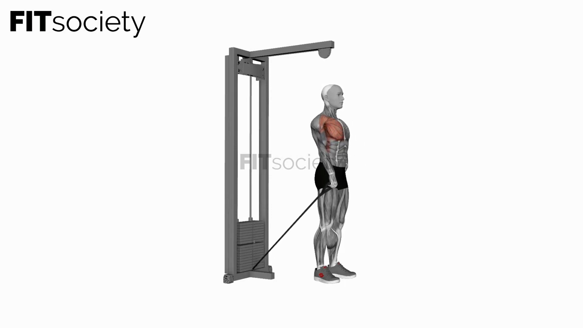 Cable One Arm Front Raise