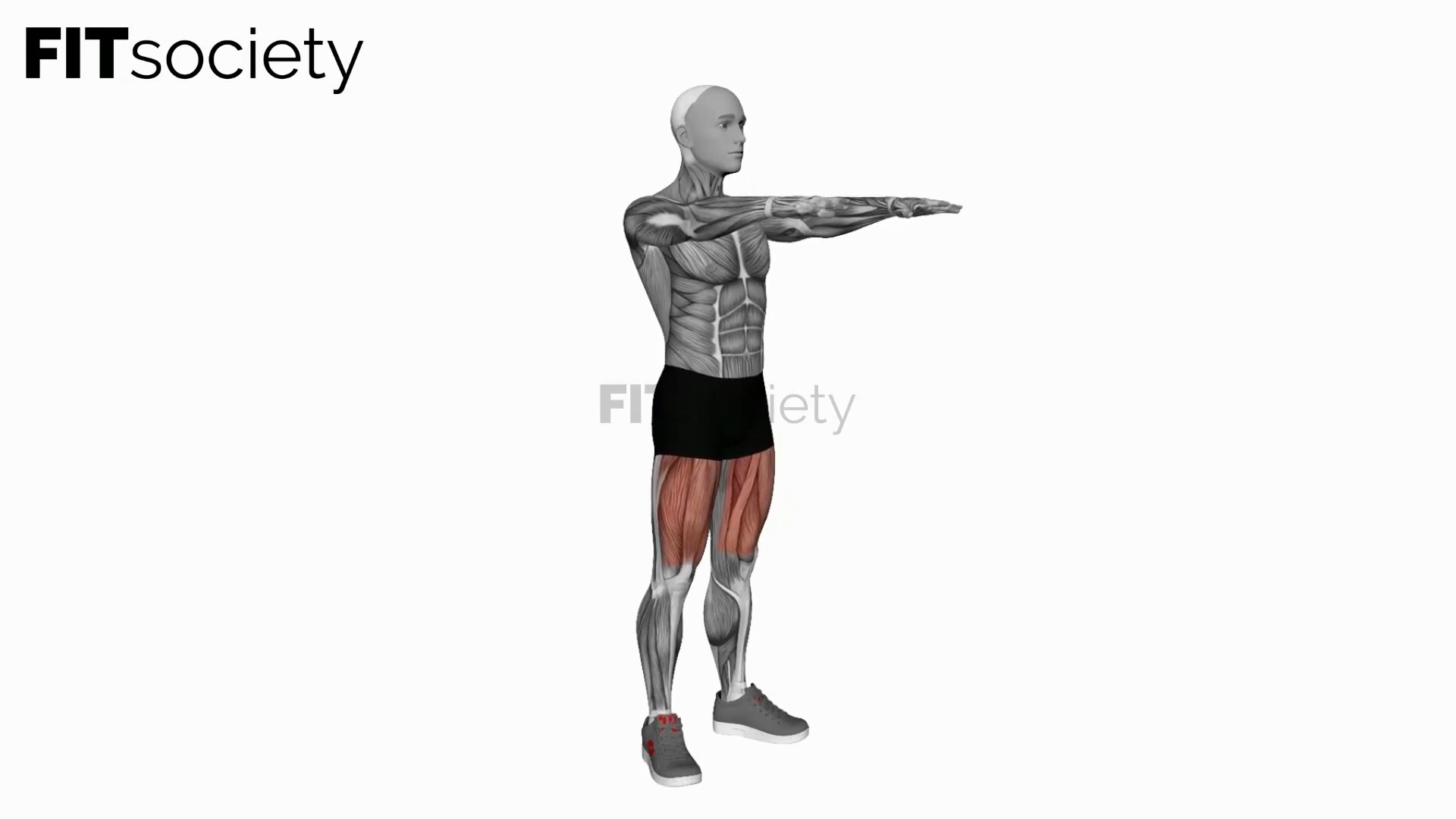 Bodyweight Pulse Squat
