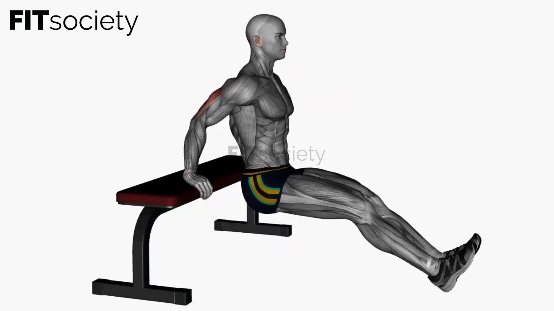 Dips triceps sur banc avec leg curl