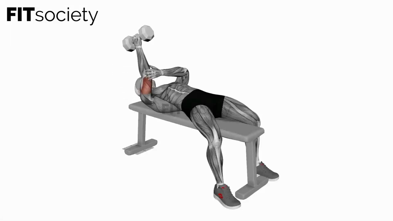 Dumbbell Lying One Arm Supinated Triceps Extension