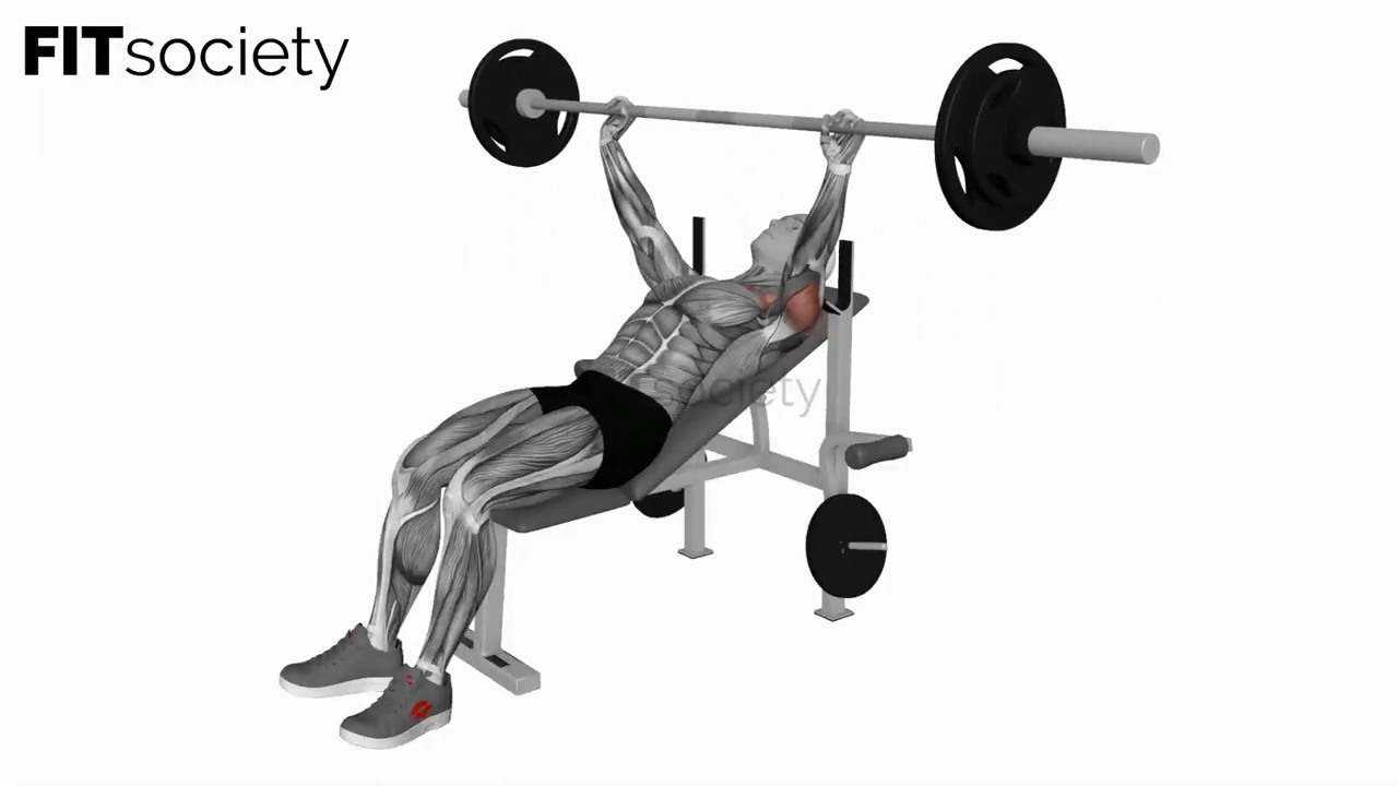 Barbell Incline Bench Press