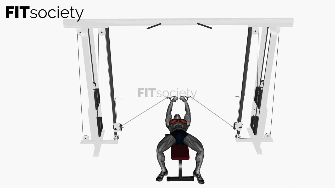 Flat Bench Cable Fly