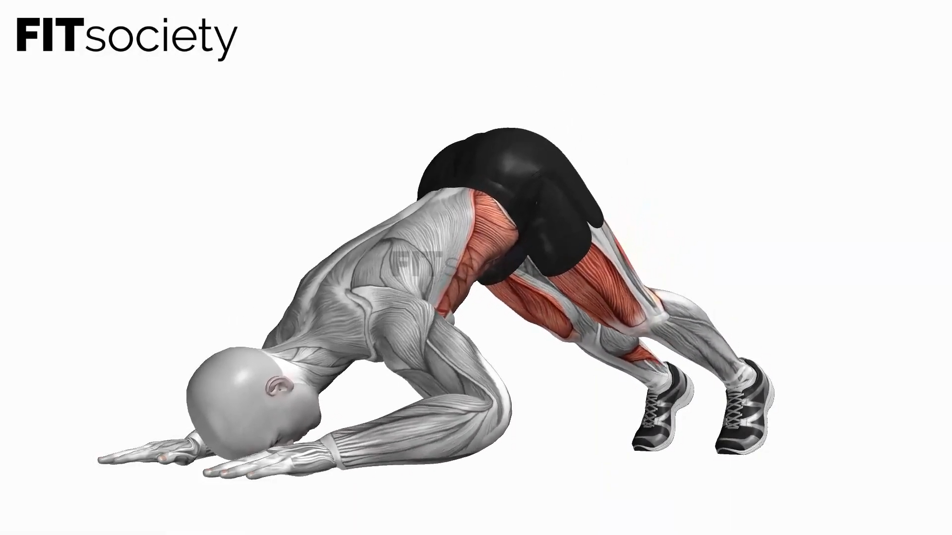 Pike Push-up