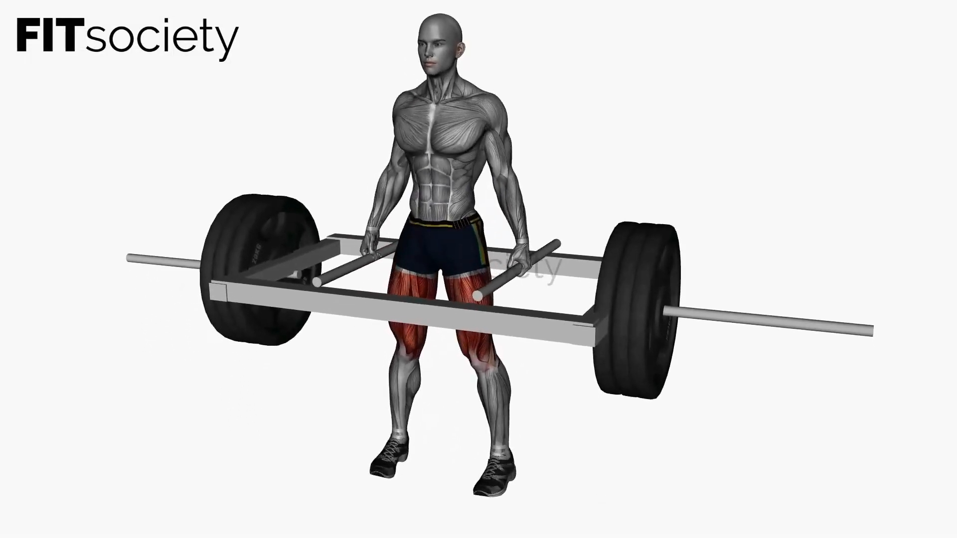 Trap Bar Deadlift
