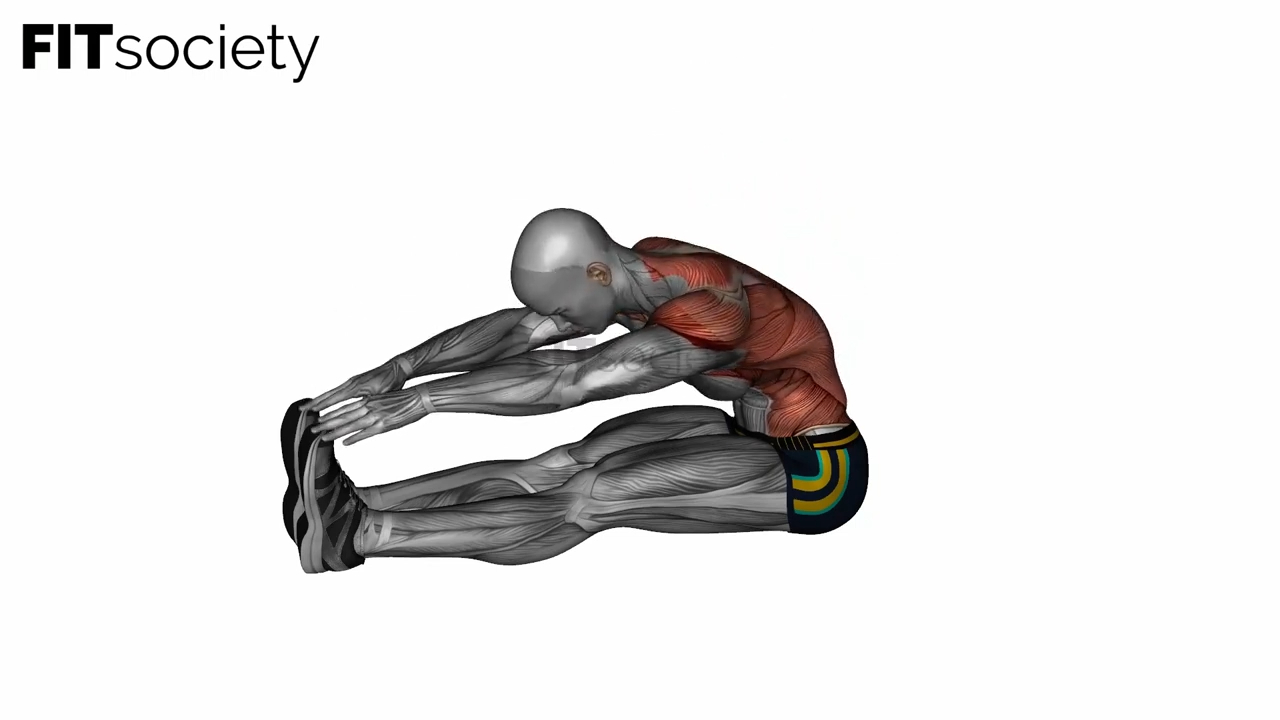 Legs Hand Reach Spine Stretch