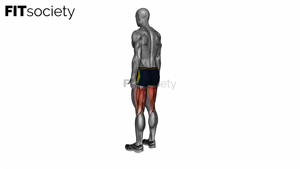 Standing Bow Hamstring Stretch