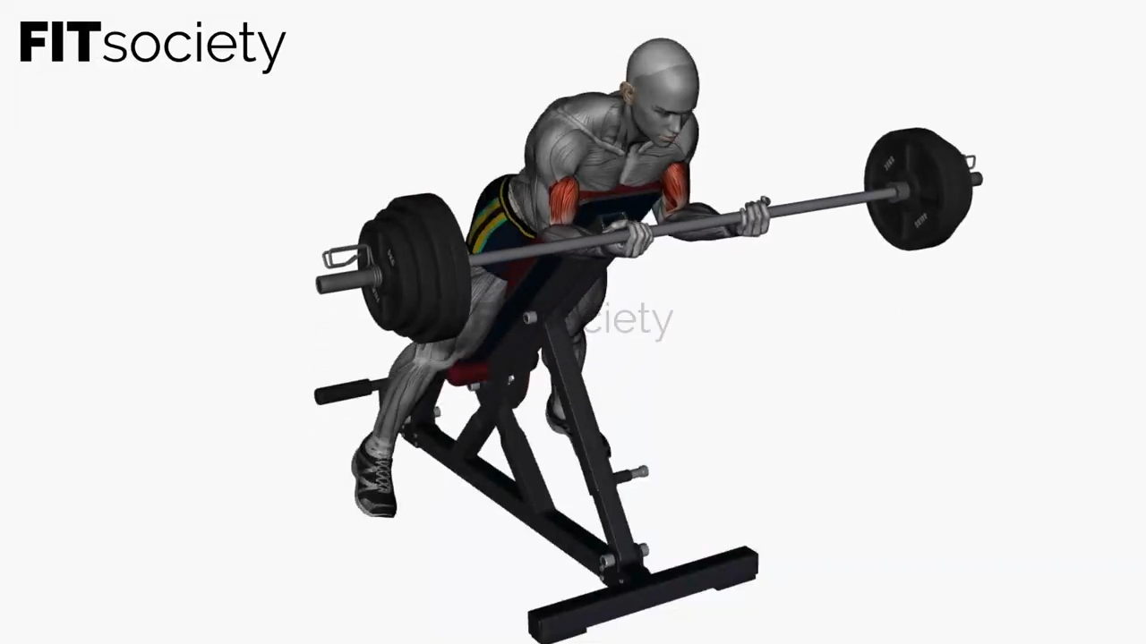 Spider Curl with Barbell