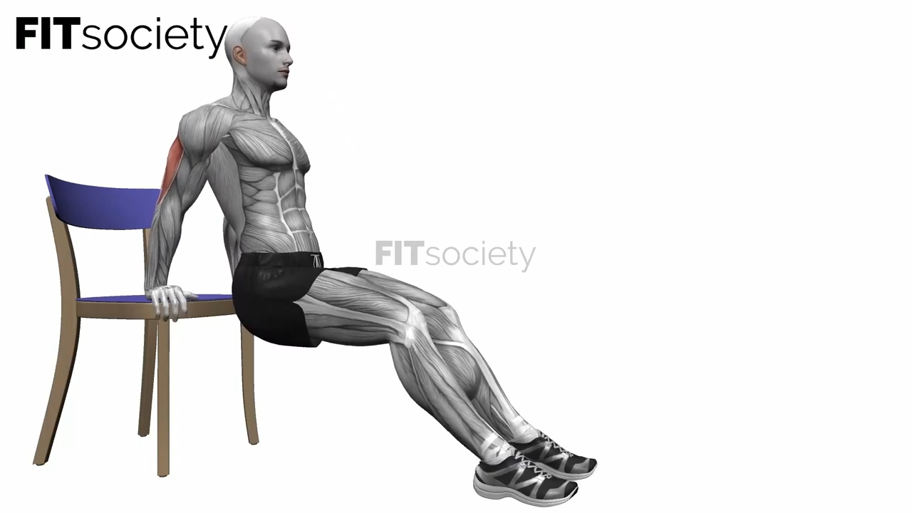 Chair Triceps Dips