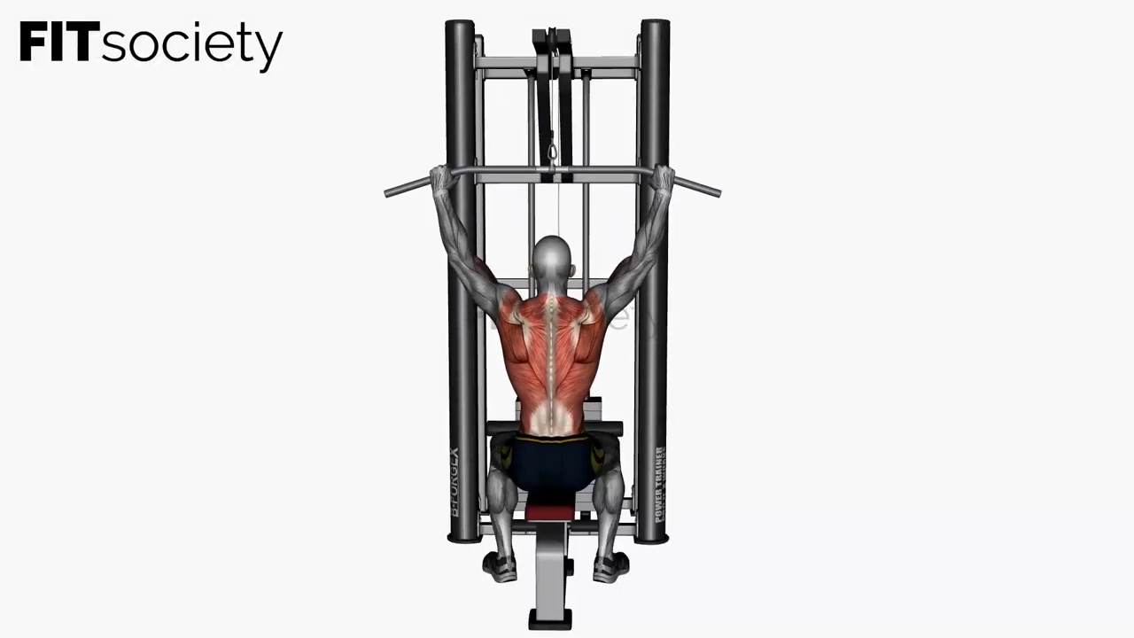 Lat Pull Down Normal Grip