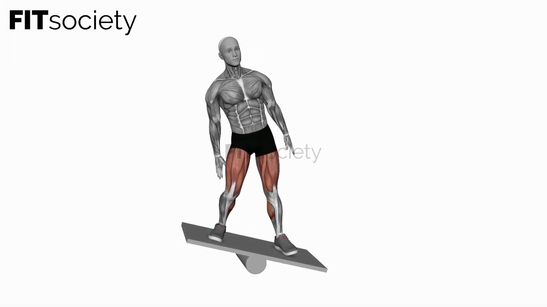 Balance Board Lateral Squat