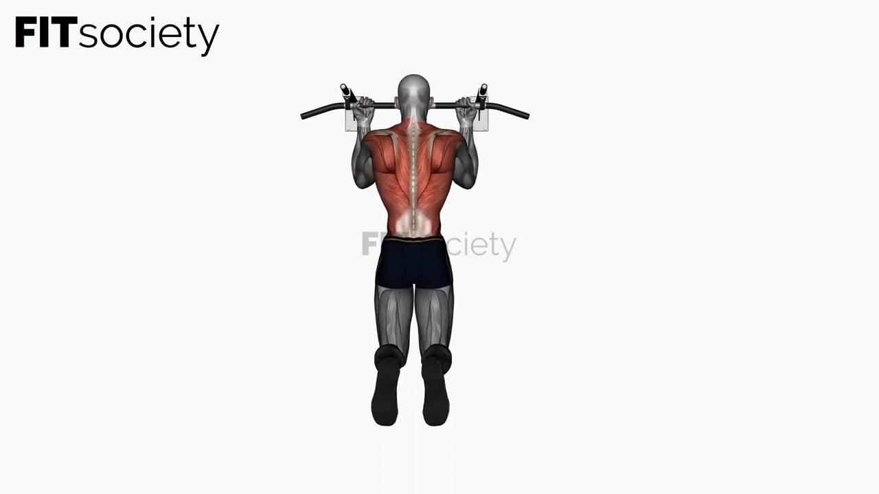 Chin-Up Reverse Wide Grip