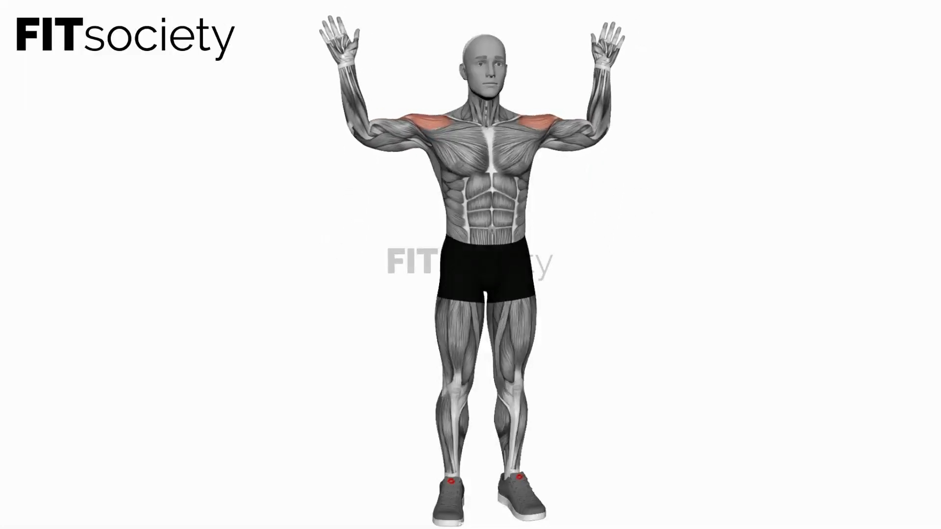Upward Rotation Extend Arms