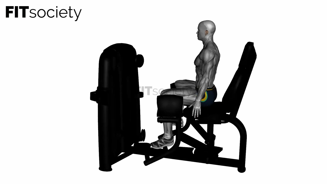 Seated Hip Abductor Machine
