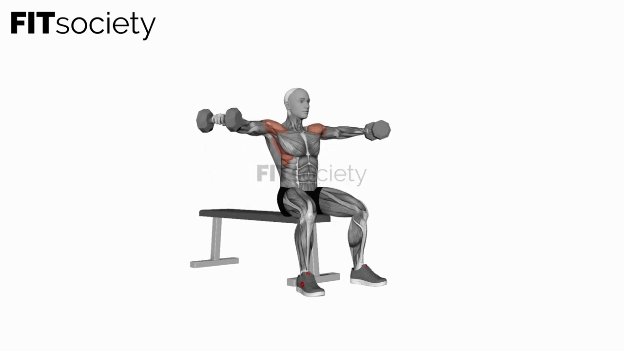 Dumbbell Seated Lateral Raise