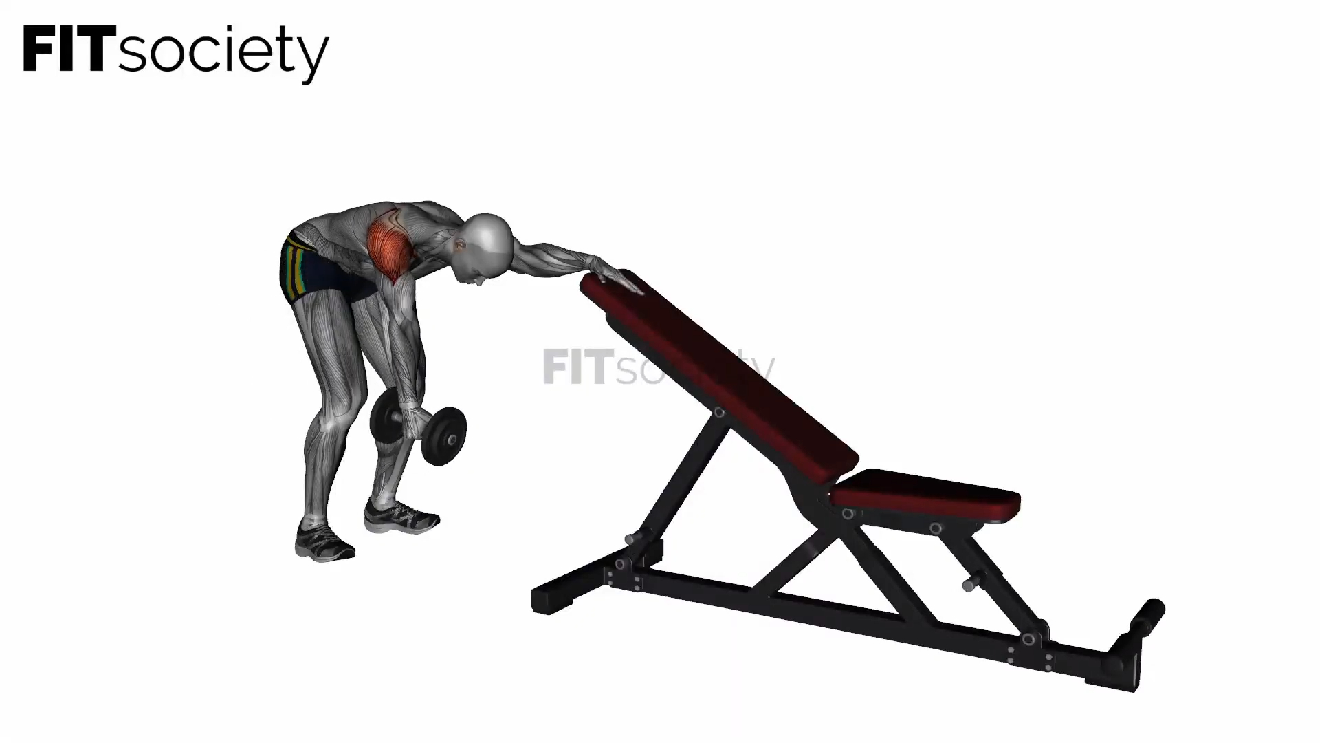 One-Arm Reverse Dumbbell Fly