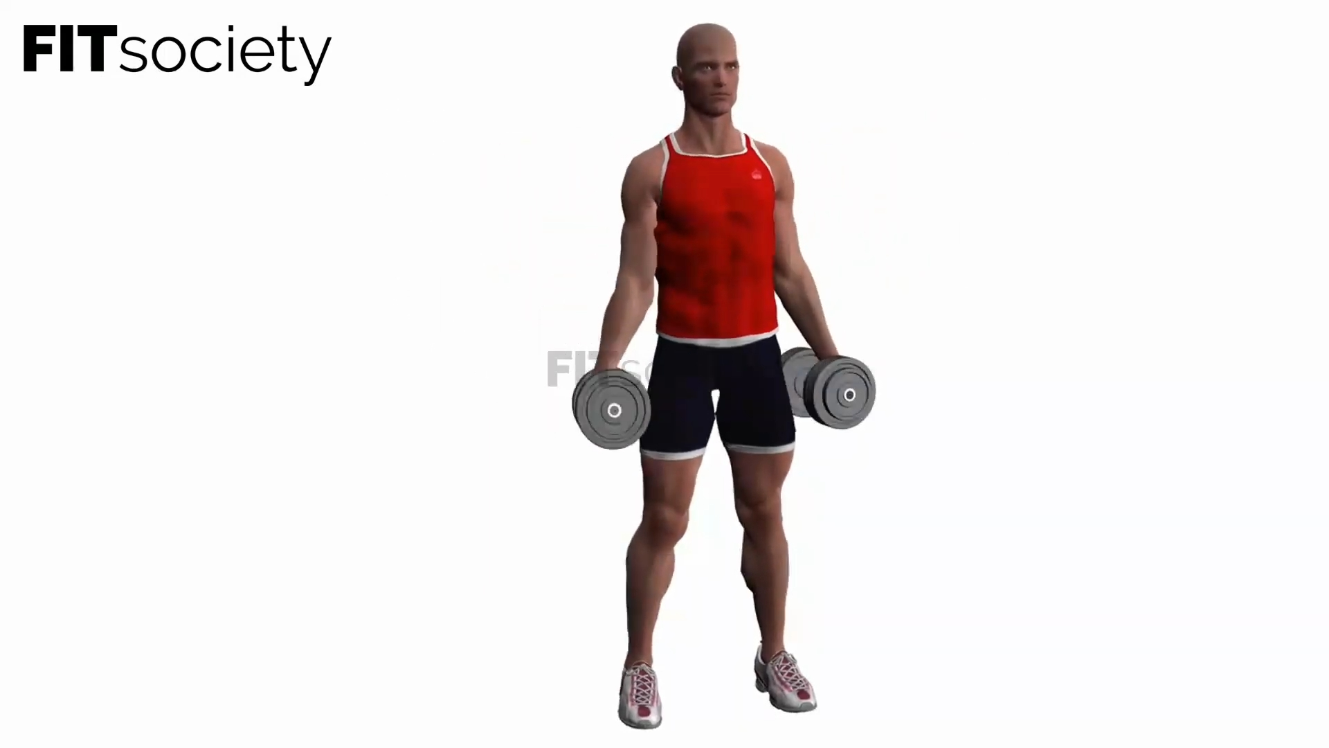 Lateral Raises