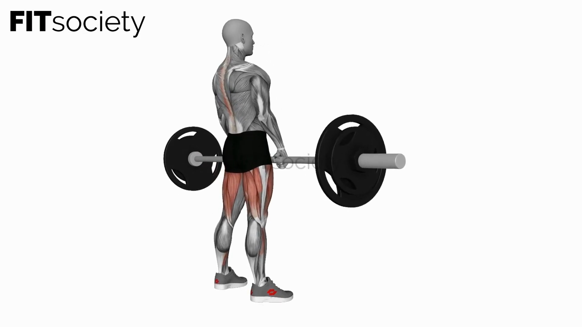 Barbell Sumo Romanian Deadlift