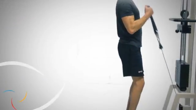 Cable Hammer Curls