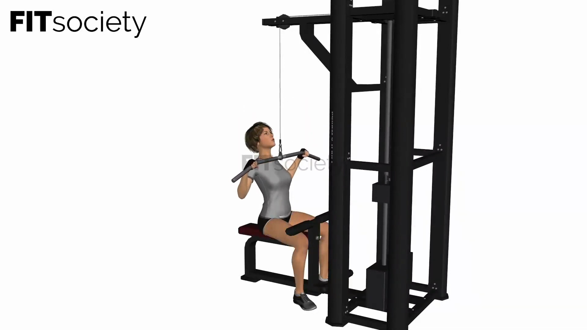 Lat Pulldown