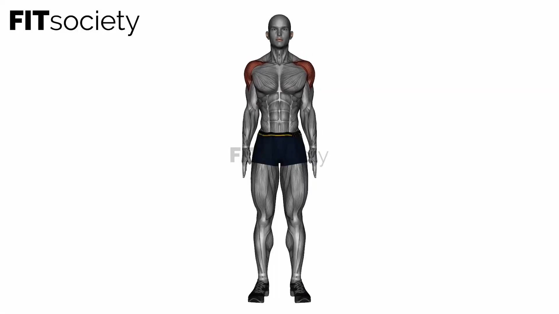 Shoulder Circle