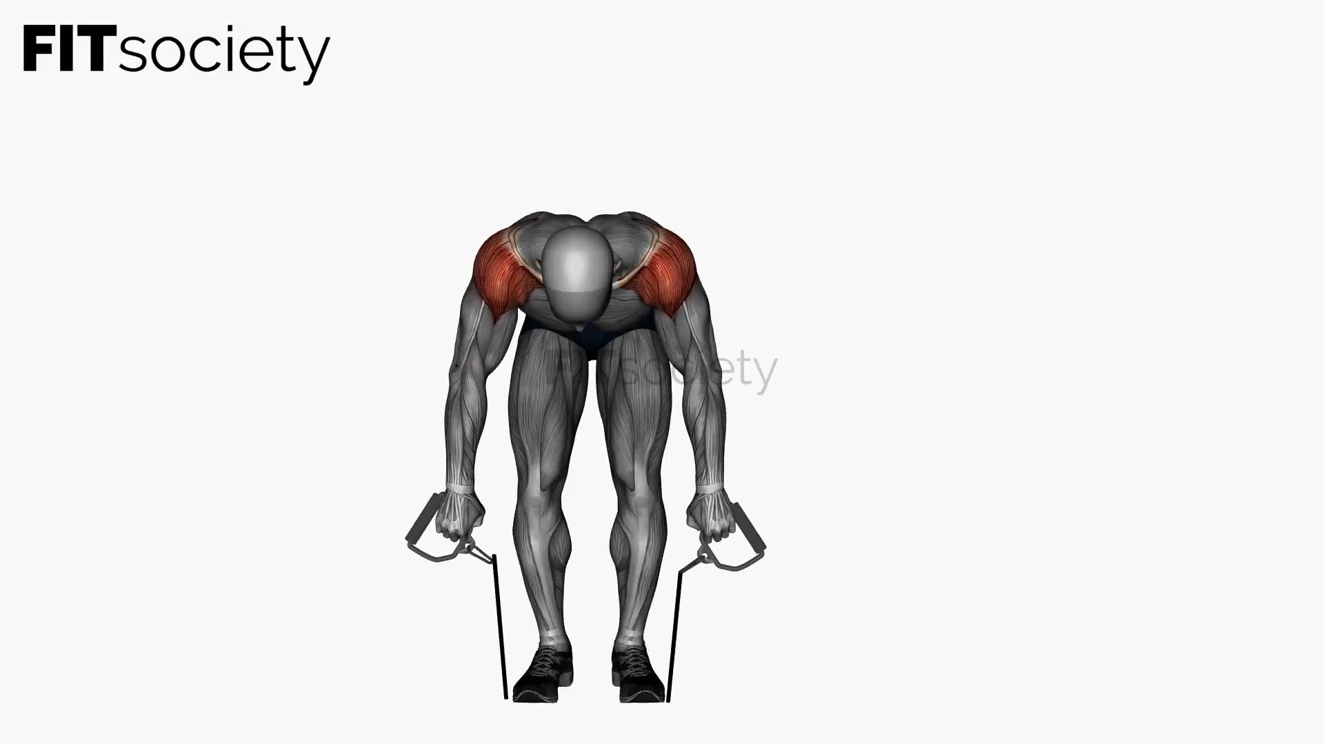Bent Over Rear Deltoid Fly Resistance Band