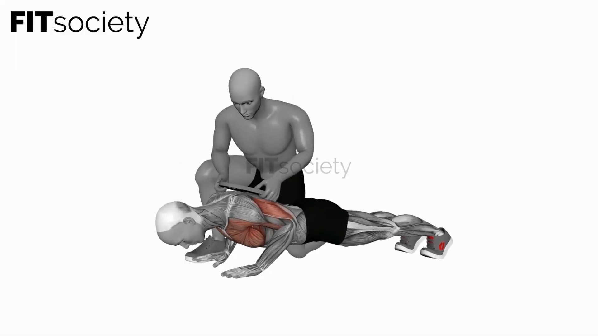 Assisted Weighted Push Up