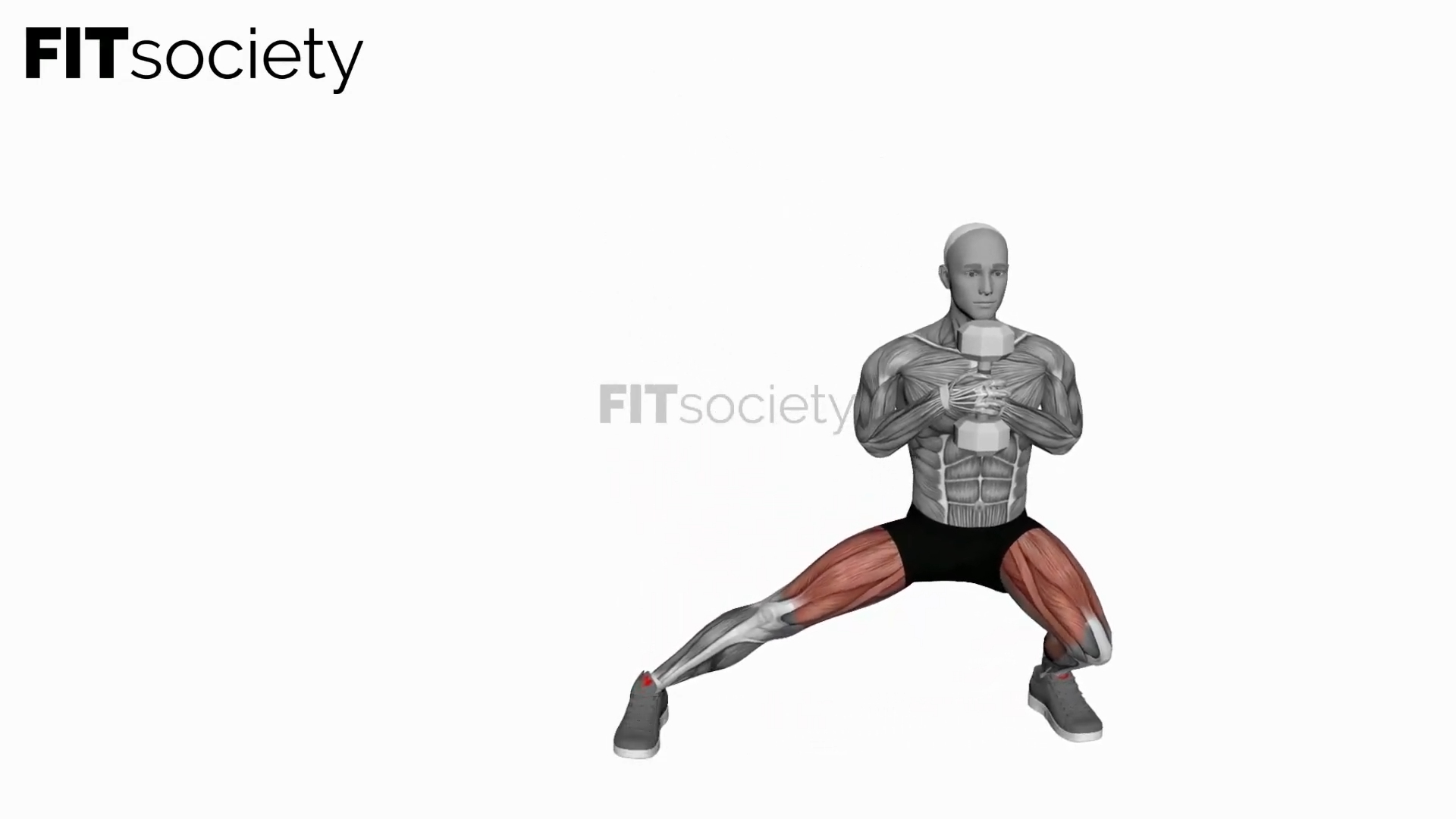 Dumbbell Side Lunge Single Leg