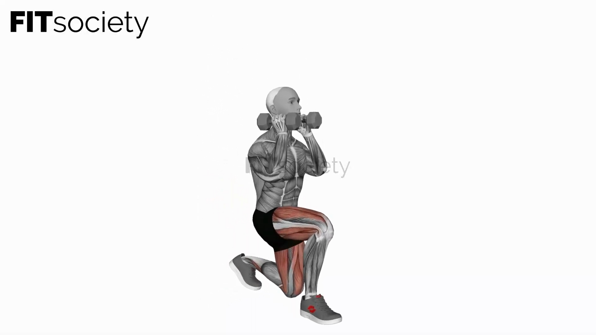 Dumbbell Front Rack Lunge