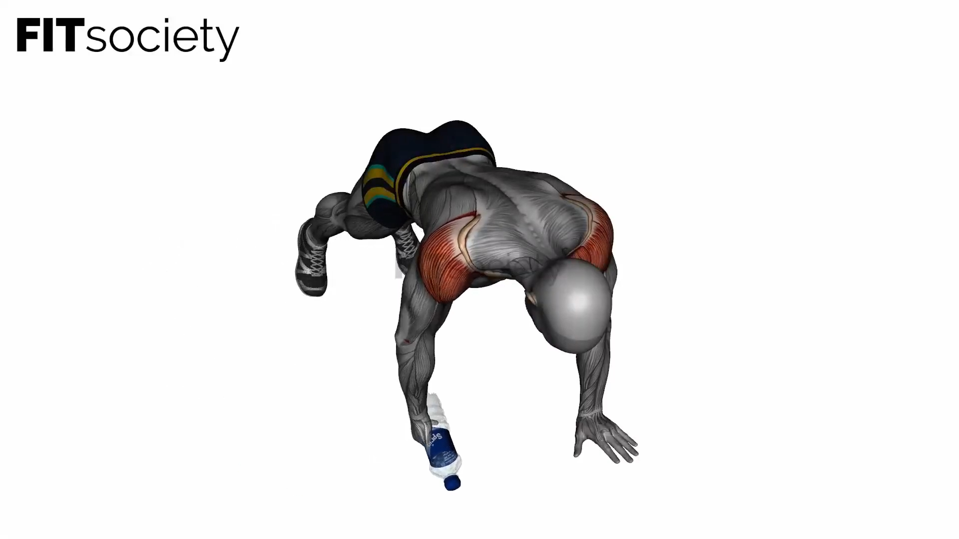 Plank Reverse Fly With Bottle