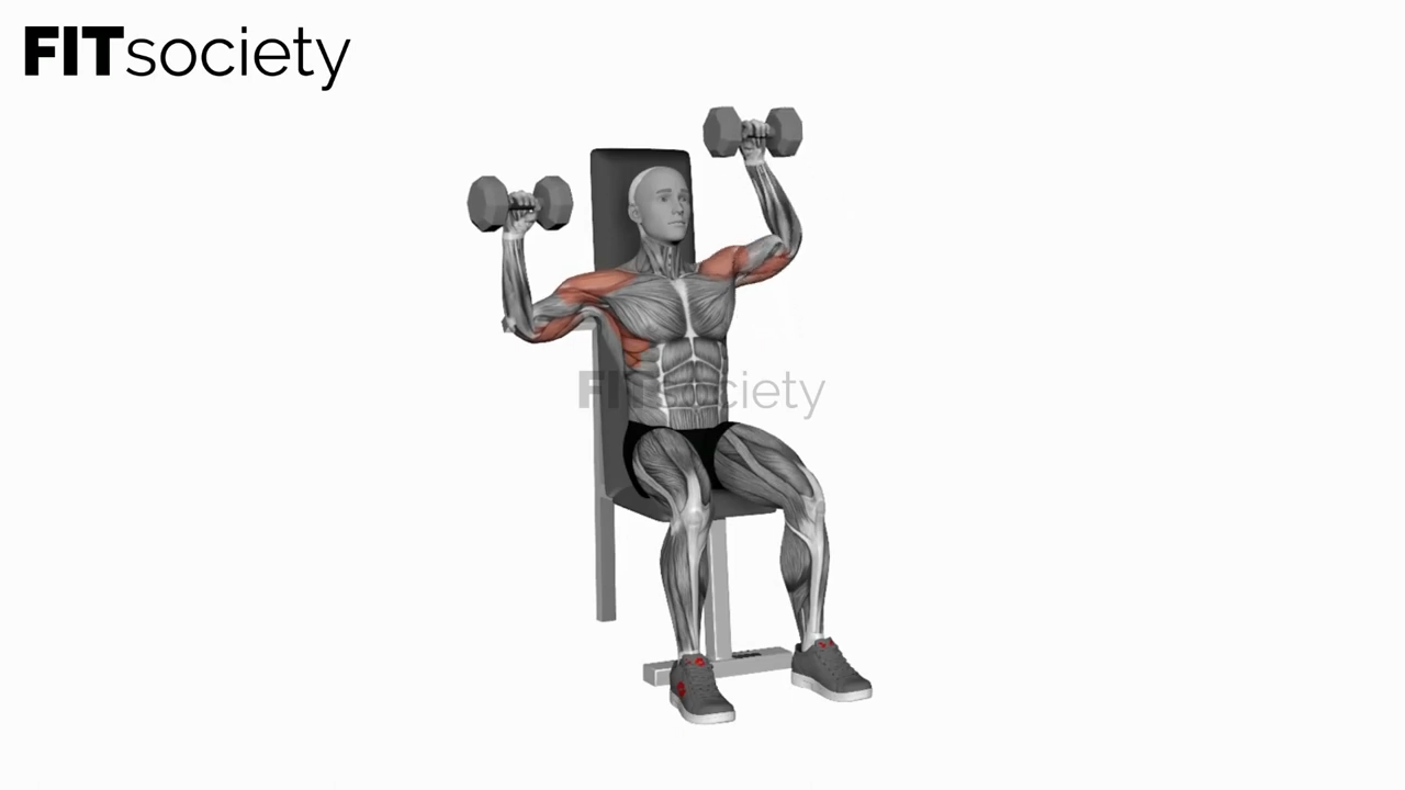 Dumbbell Seated Alternate Shoulder Press