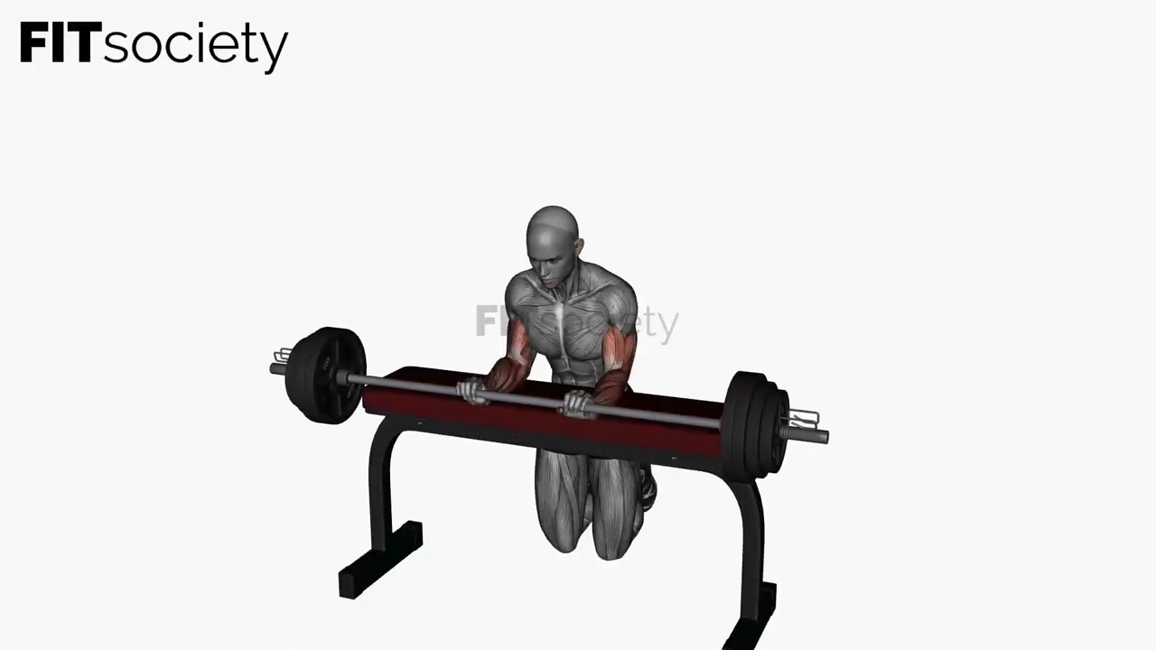 Wrist Extension Barbell