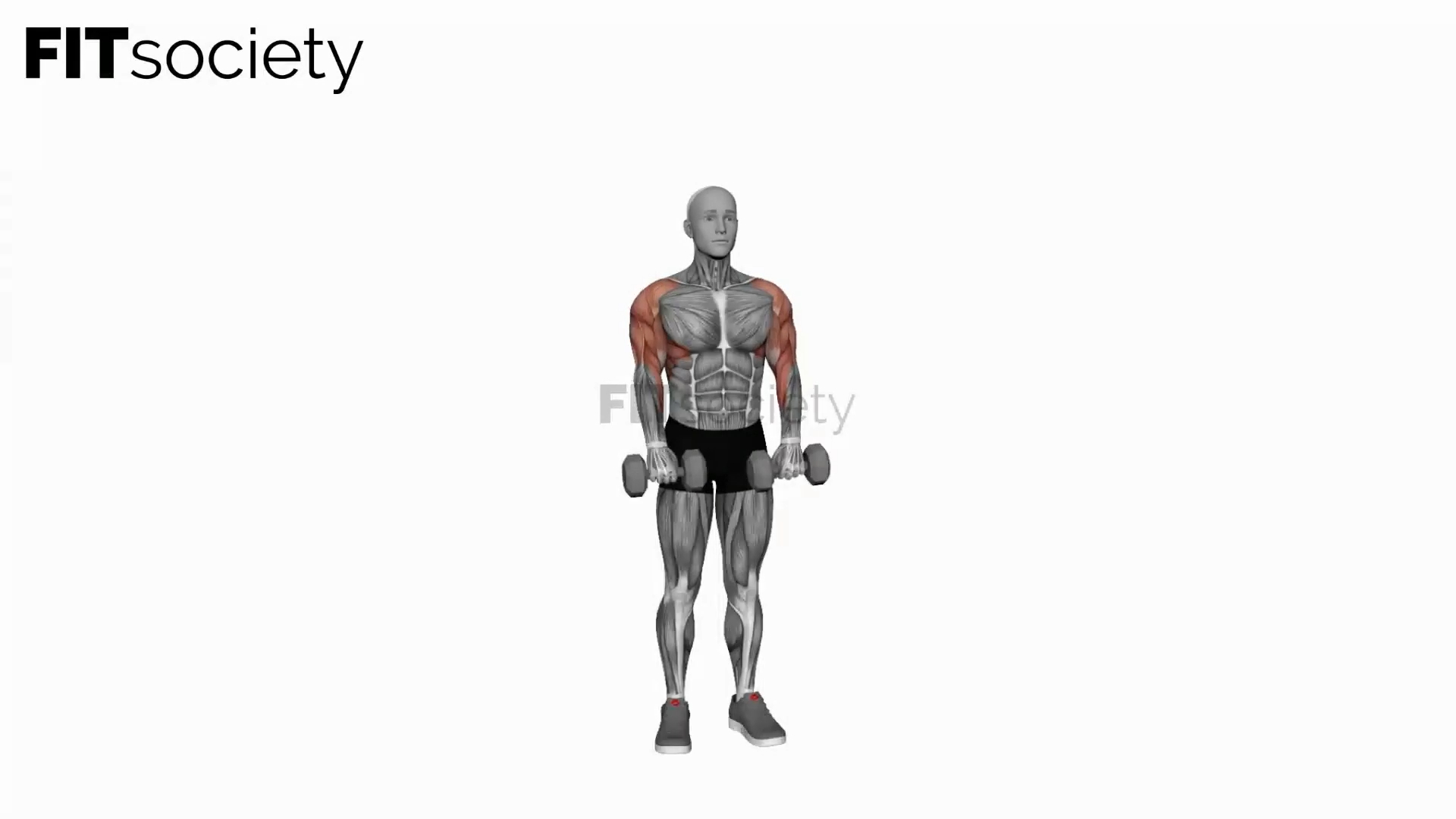 Dumbbell Cuban Press (Version 2)