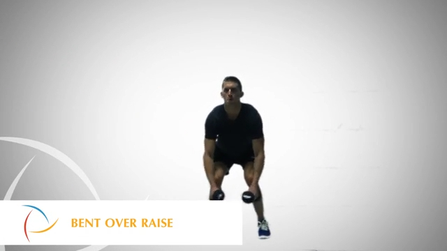 Bent Over Raise