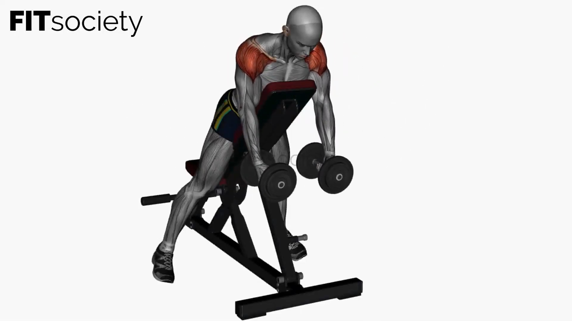 Incline Dumbbell Lateral Raise