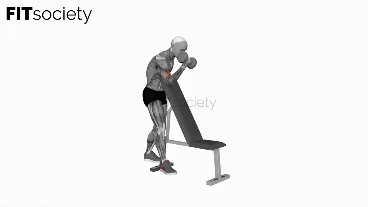 Dumbbell One Arm Zottman Preacher Curl