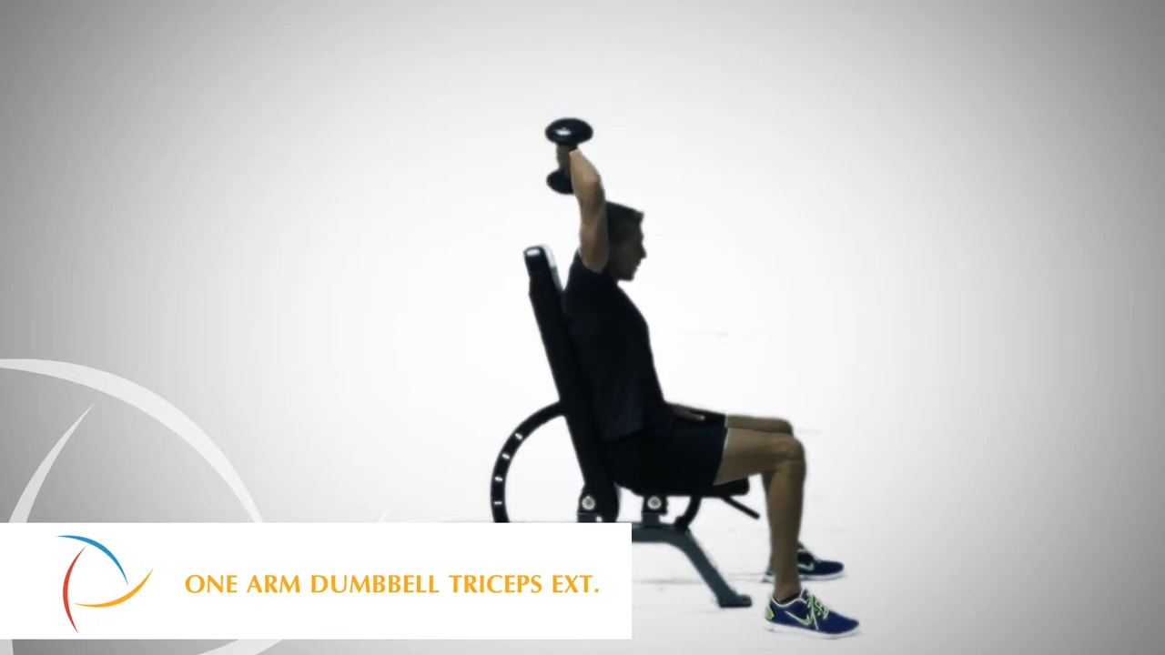 One Arm Dumbbell Triceps Extension
