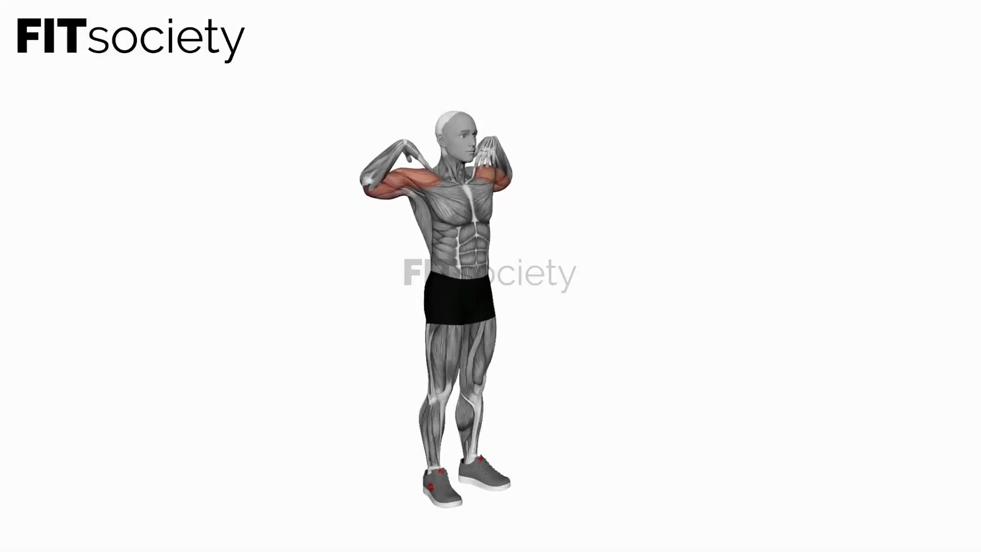 Circle Elbow Arm