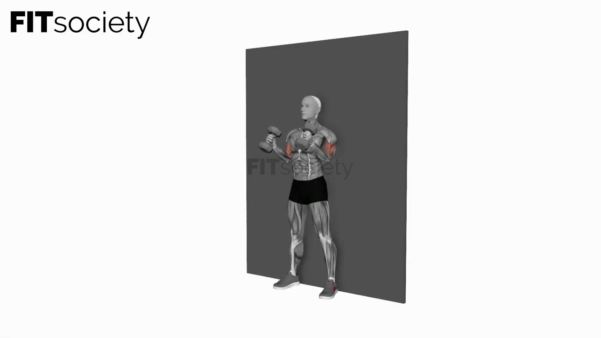 Dumbbell Hammer Strict Curl