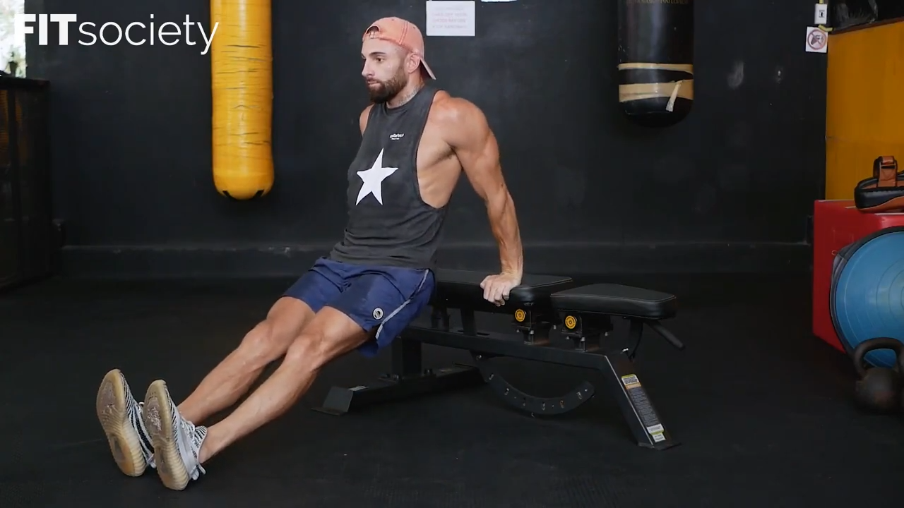 Triceps Dips on a Bench
