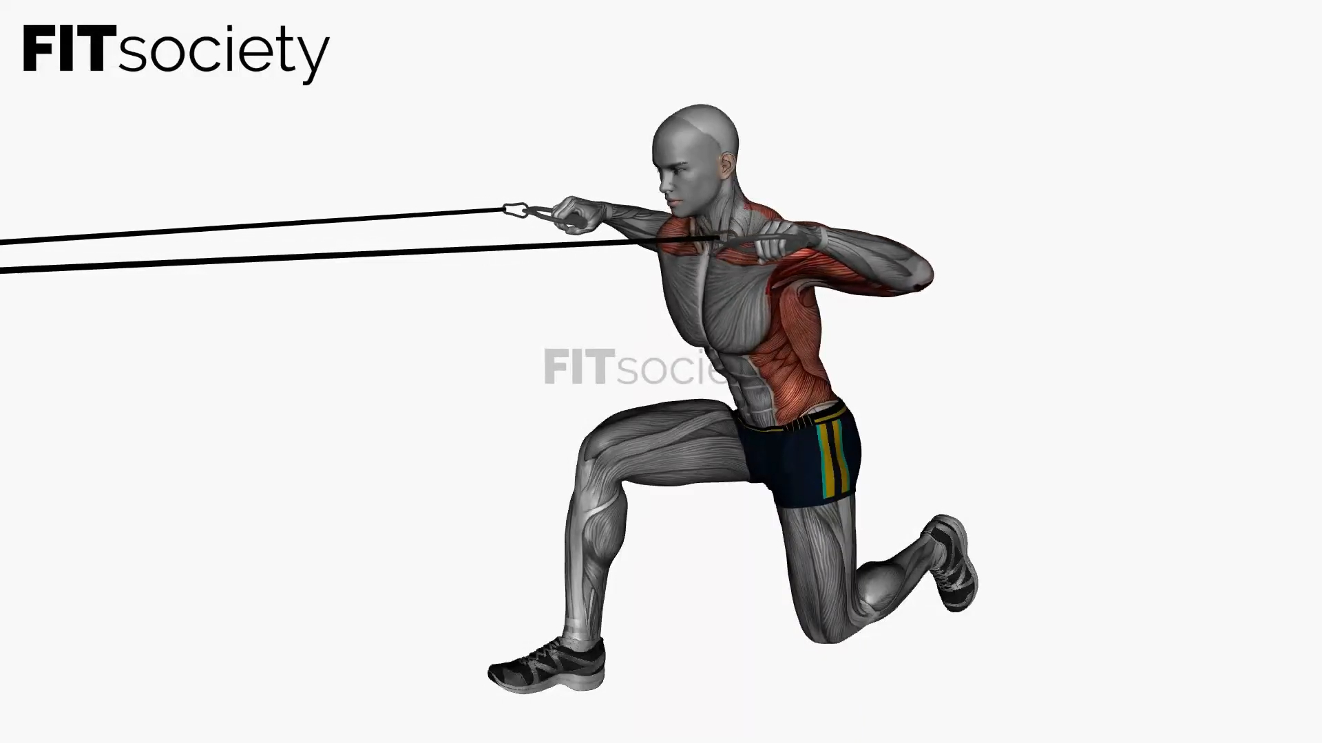 Resistance Band Cable Row